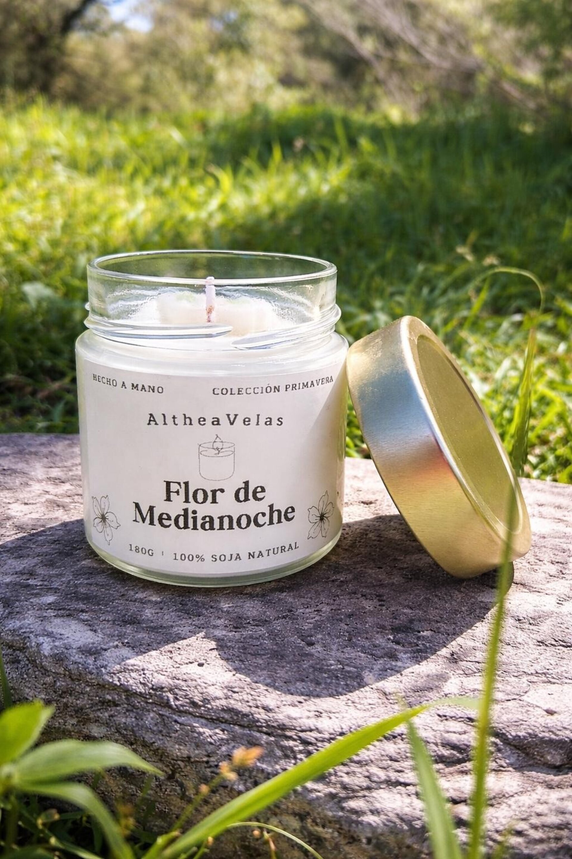 Flor de Medianoche - 2